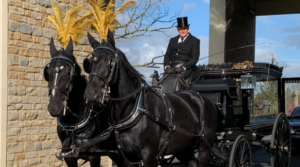 Horse-Drawn Carriage black