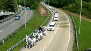 Horse-Drawn Carriage white
